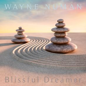 Download track Nebulicity Wayne Numan