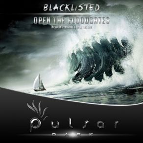 Download track Open The Floodgates (Original Mix) Blacklisted