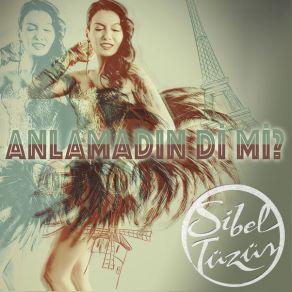 Download track Anlamadın Di Mi- Sibel Tüzün