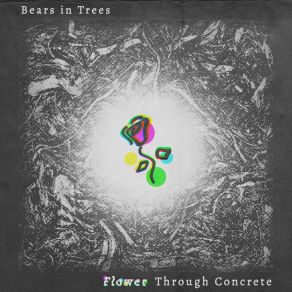 Download track Evergreen Bears In Trees