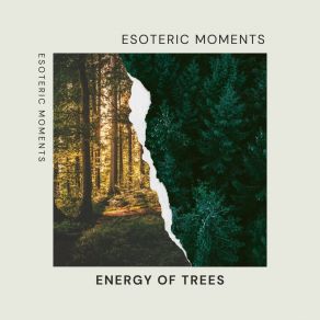 Download track Candle Magic (Shallow Water Waves) Esoteric Moments