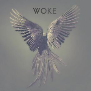 Download track Woke (Xenturion Prime Remix) Unitary