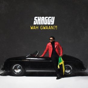 Download track Frenemy Shaggy