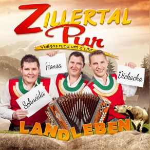 Download track Walzer Zum Traeumen Zillertal Pur