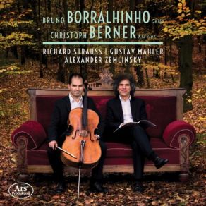 Download track Lieder Eines Fahrenden Gesellen (Arr. For Cello & Piano): No. 3, Ich Hab' Ein Glühend Messer Christoph Berner, Bruno Borralhinho