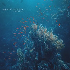 Download track Aquarium Aquatic Dreamer