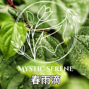 Download track 防水布帐篷 Mystic Serene