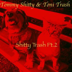 Download track Suzanne Toni Trash