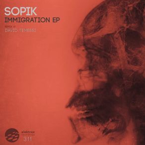 Download track Immigration (David Temessi Remix) Sopik