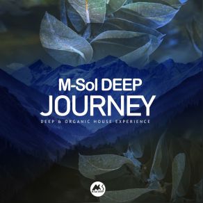 Download track I Saw You In A Dream NatureVibes, M-Sol DEEP