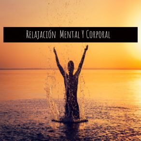 Download track Concentración Cerebral Reflexion