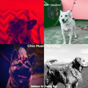 Download track Amazing Jazz Guitar Trio - Vibe For Cute Puppies Chic Music For Dogs