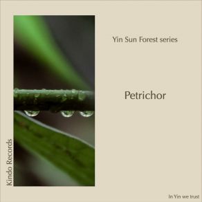 Download track Petrichor (Clear Version) Yin Sun