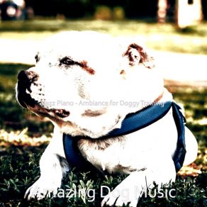 Download track Spacious Solo Piano Jazz - Vibe For Doggy Training Amazing Dog Music