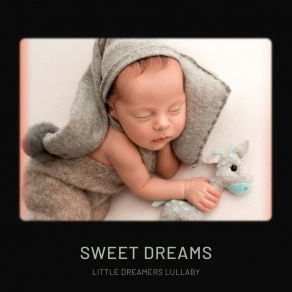 Download track Calm Sleep Music Little Dreamers Lullaby