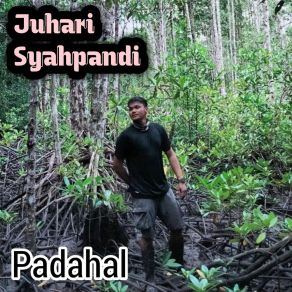 Download track Cinta Monyet Juhari Syahpandi