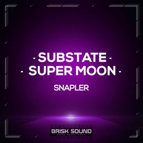 Download track Super Moon (Original Mix) Snapler