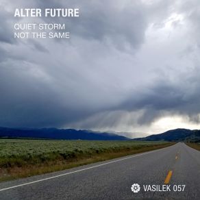 Download track Quiet Storm (Original Mix) Alter Future