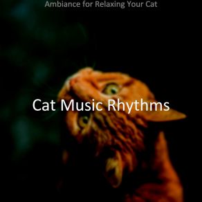 Download track Background For Cute Cats Cat Music Rhythms