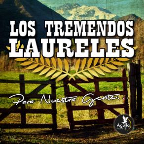 Download track Mix: Soy Un Bandolero / Chaparrita De Mi Vida LOS TREMENDOS LAURELESLos Bandoleros Del Sur