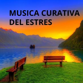 Download track Actitud Positiva Curando El Estres