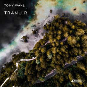 Download track Distorted Feelings Tomy Wahl