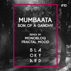 Download track Swell (Monobloq Remix Synthapella) Mumbaata