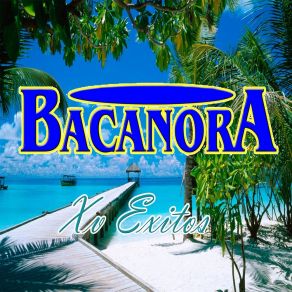 Download track Pablito Grupo Bacanora