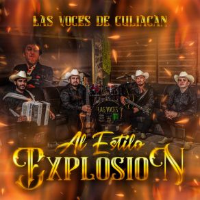 Download track La Perra Parida Las Voces De Culiacán