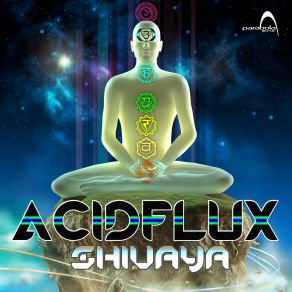 Download track Shree Ganesha Acidflux