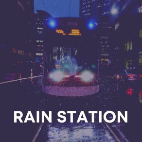 Download track Winter Rain Sounds, Pt. 20 Stormy Station