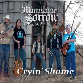 Download track The Clear Warning Moonshine Sorrow