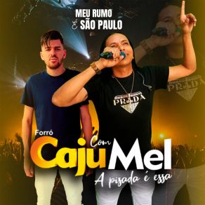 Download track Meu Rumo É São Paulo Banda Forró Cajú Com Mel