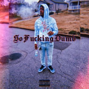 Download track So Fucking Dumb Tylo