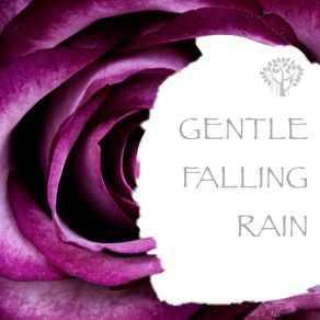 Download track Rain Sounds - Falling Droplets Natural Spirit