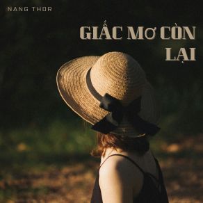 Download track Giấc Mơ Còn Lại Nang Thor