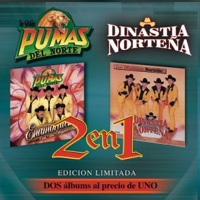 Download track El Cocinero Los Pumas Del NorteDinastia Norteña