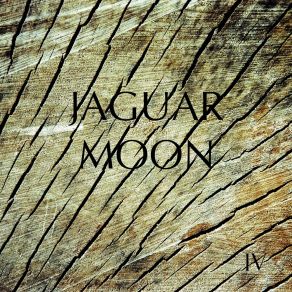 Download track Rise Soldier Jaguar Moon