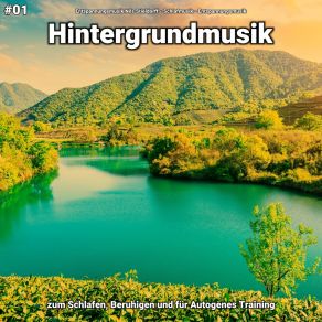 Download track Hintergrundmusik Pt. 61 Entspannungsmusik