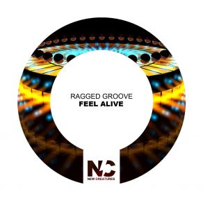 Download track Feel (Nu Ground Foundation Mix) Ragged Groove