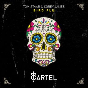 Download track Bird Flu (Extended Mix) Tom Staar, Corey James