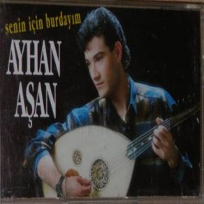 Download track İnce İnce Bir Kar Yağar Ayhan Aşan