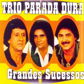 Download track Luz Da Minha Vida Trio Parada Dura