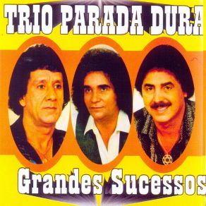 Download track O Relógio Da Matriz Trio Parada Dura