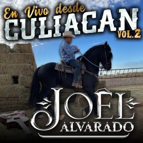 Download track Los Placeres (En Vivo) Joel Alvarado