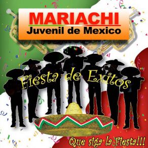 Download track Torero Mariachi Juvenil De Mexico