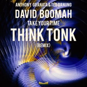 Download track Take Your Time (Think Tonk Remix) David Boomah, Ted Ganung, Anthony Granata