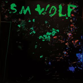 Download track Wasted And Faded S. M. Wolf