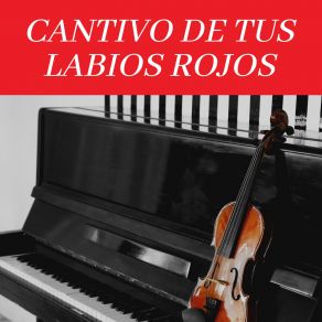 Download track La Paloma Trio San Jose