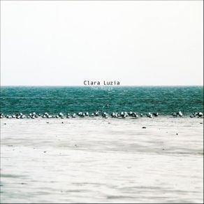 Download track Fine Clara Luzia